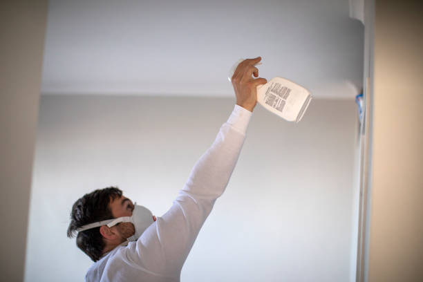 Best Mold Remediation  in Pantego, TX