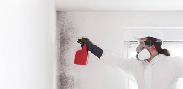Best Certified Mold Removal  in Pantego, TX