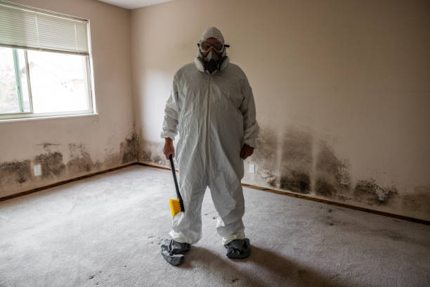 Best Certified Mold Removal  in Pantego, TX